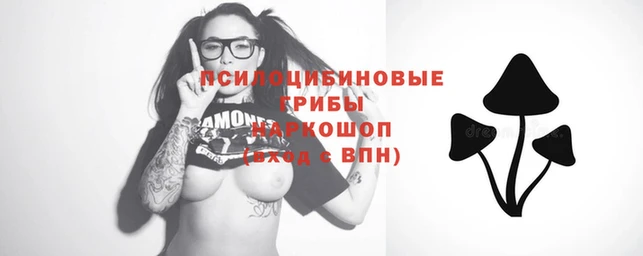 Альфа ПВП Алзамай