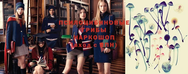 гидропоника Абаза