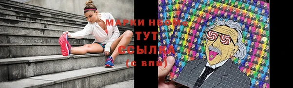 твердый Алексин